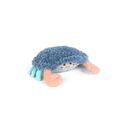 SHAGGY SHY BLUE CRAB