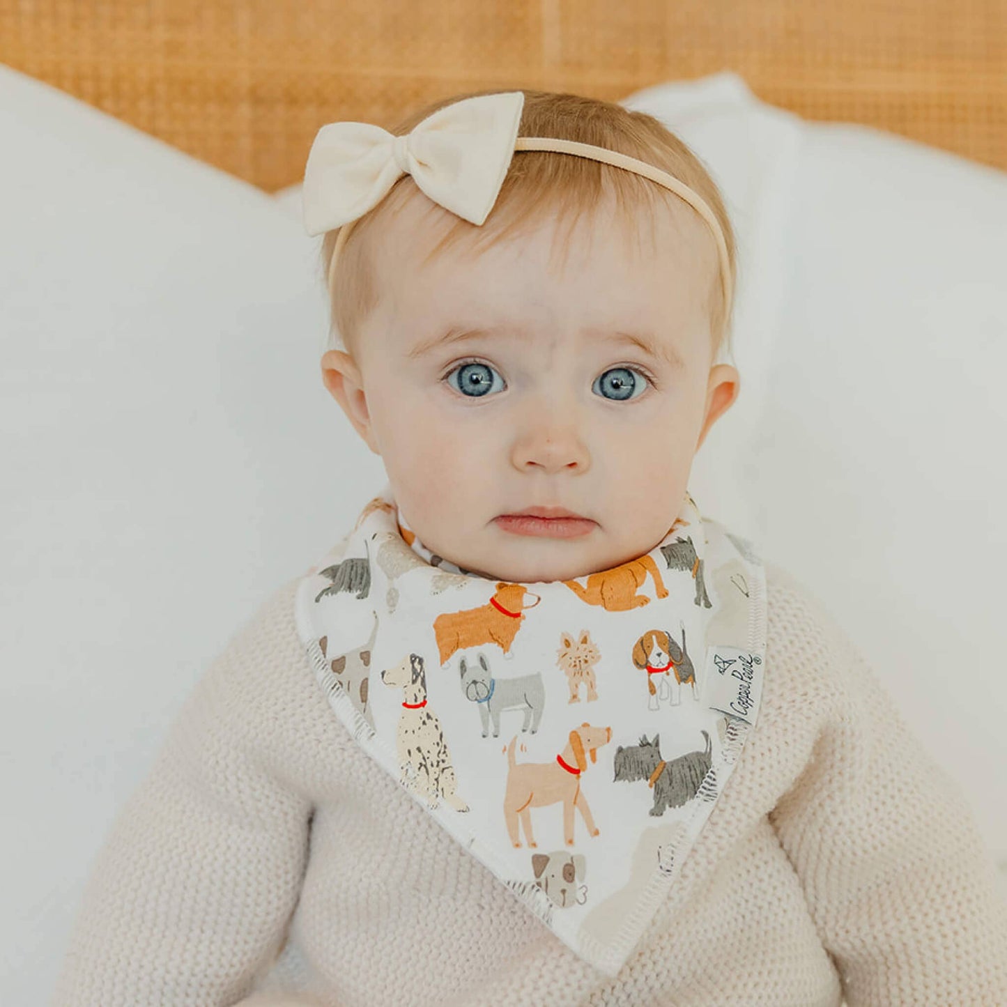 4 PACK BABY BANDANA BIBS || RUFUS