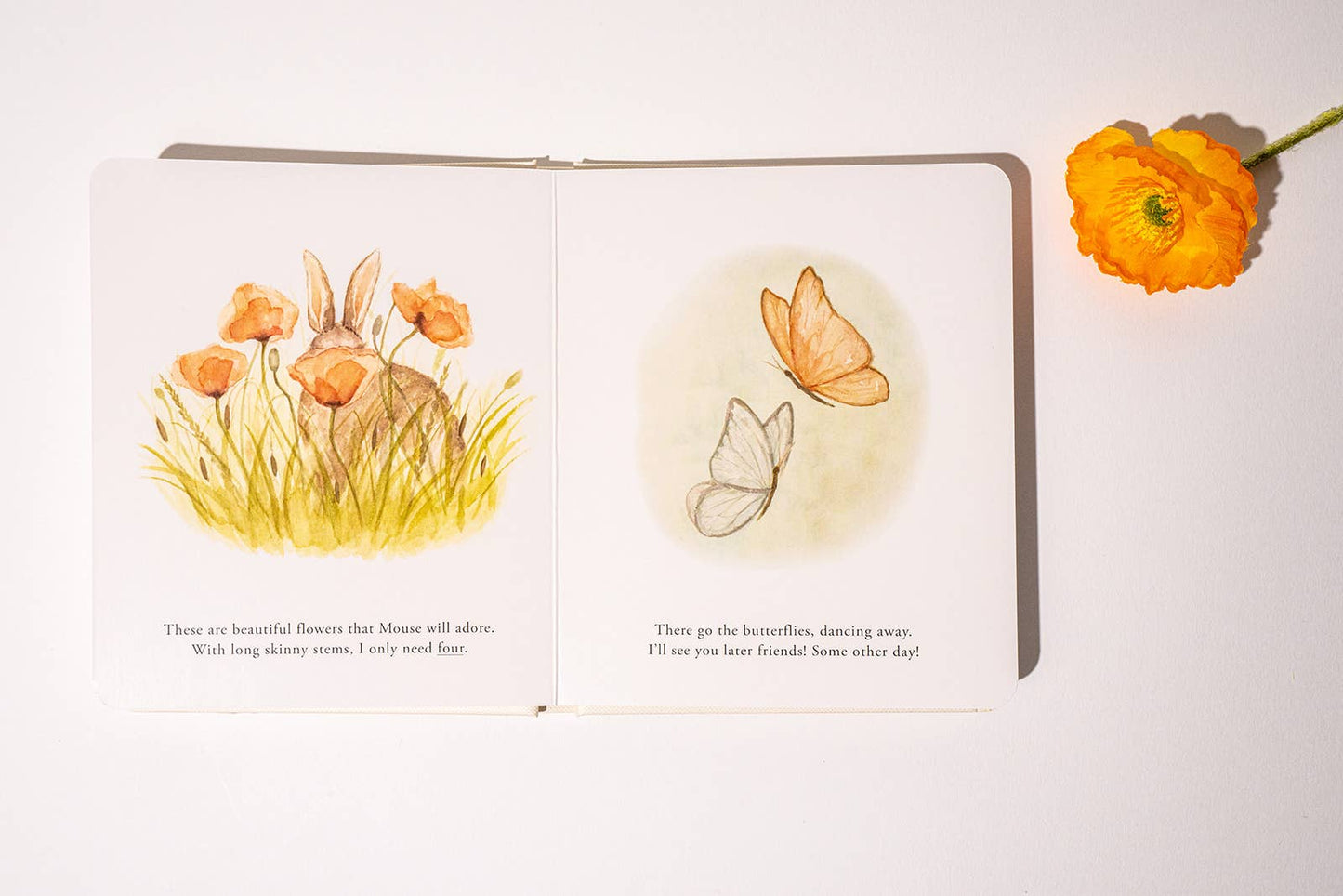 OUR LITTLE ADVENTURES BOARD BOOK BOX SET