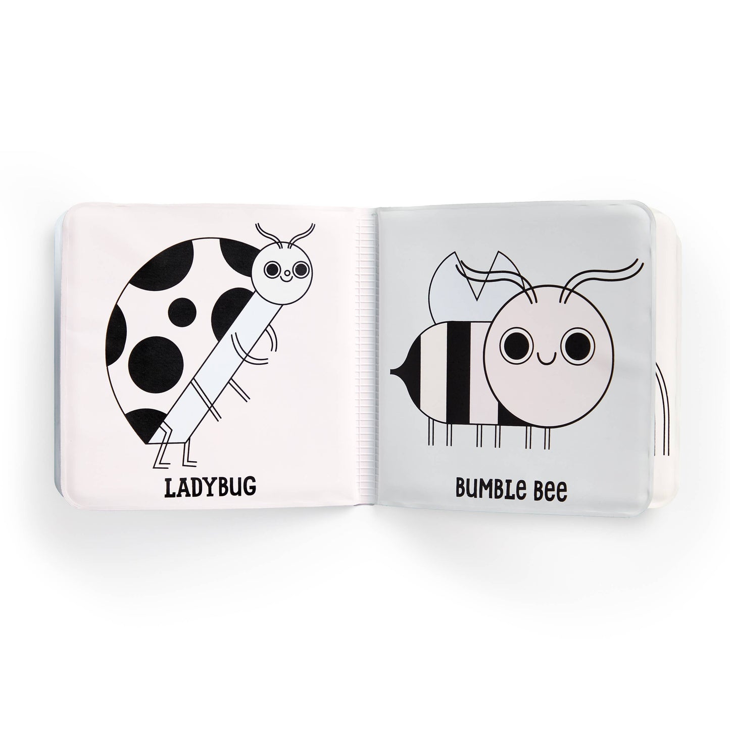 BUG OUT || COLOR MAGIC BATH BOOK