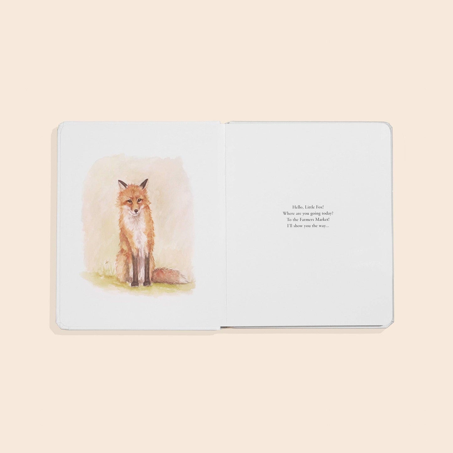 OUR LITTLE ADVENTURE TO THE FARMERS MARKET || BOARD BOOK