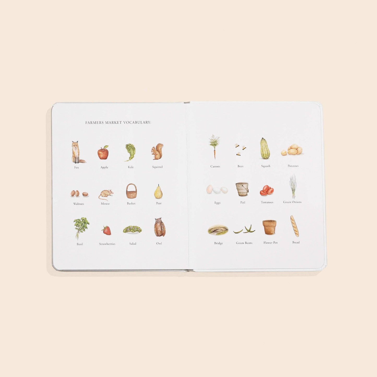 OUR LITTLE ADVENTURE TO THE FARMERS MARKET || BOARD BOOK