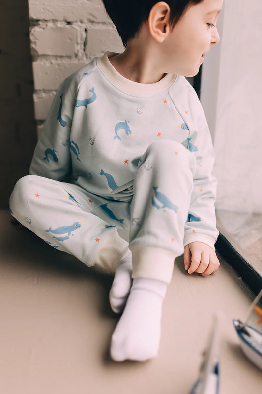 RAGLAN SWEATSHIRT || NARWHALS AT SEA