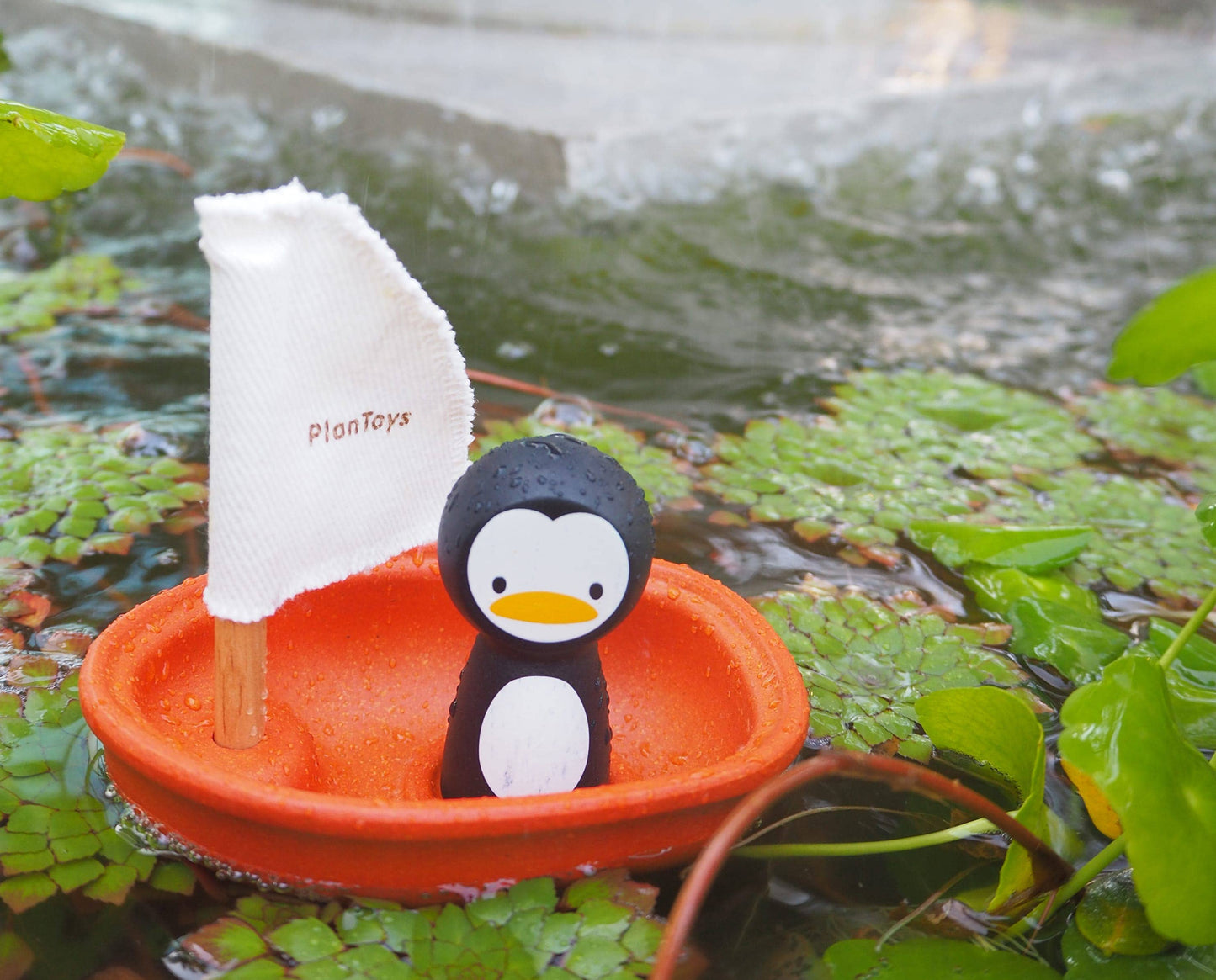 SAILING BOAT || PENGUIN