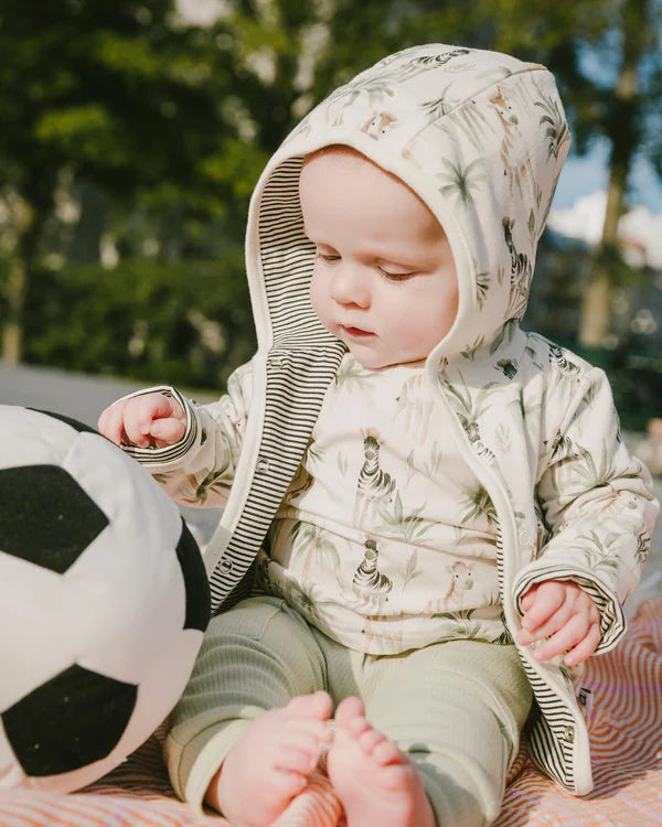 T-SHIRT & PANT SET || ZEBRA JUNGL