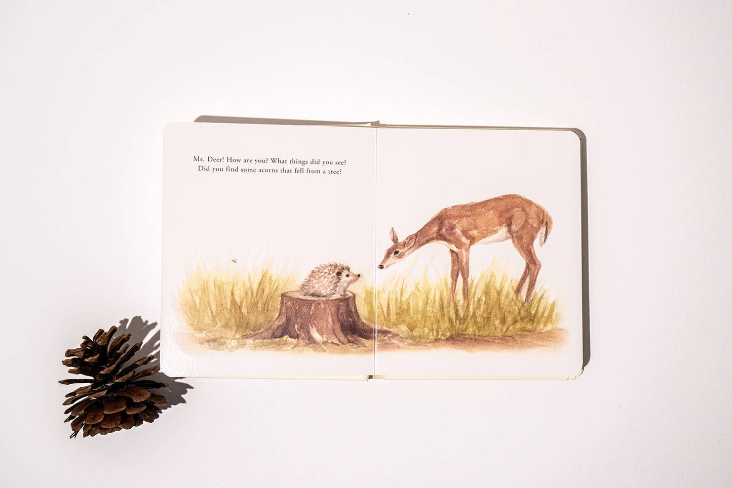 OUR LITTLE ADVENTURES BOARD BOOK BOX SET